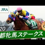 2020年 京都牝馬ステークス(GⅢ) | サウンドキアラ | JRA公式