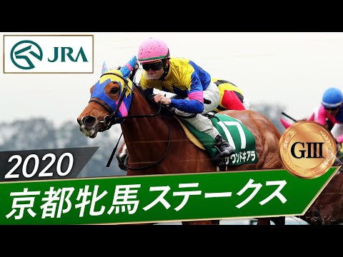 2020年 京都牝馬ステークス（GⅢ） | サウンドキアラ | JRA公式