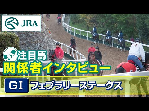 【注目馬 関係者インタビュー】2024年 フェブラリーステークス｜JRA公式