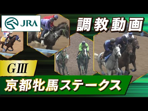 【調教動画】2024年 京都牝馬ステークス｜JRA公式