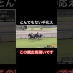 この競走馬とんでもなく強いです