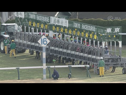 2024 FEBRUARY STAKES (G1) | JRA Official
