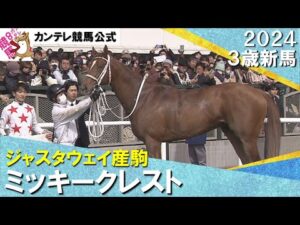 《2024年 新馬》坂井騎手「エンジンがかかってからはいい脚」ミッキークレストが人気に応え圧勝! 2月17日(土)京都ダート1800m 実況:川島壮雄【カンテレ公式】