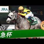 2020年 阪急杯(GⅢ) | ベストアクター | JRA公式