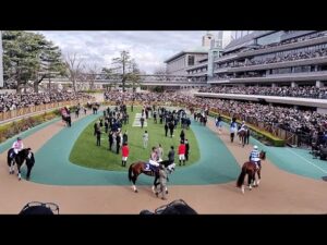 アタック！地方競馬｜第256回｜PLAYBACK  フェブラリーステークス｜NAR公式