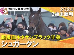 【超良血キタサンブラックの半弟シュガークンが武豊騎手に導かれ初勝利!】2024年 3歳未勝利 実況:川島壮雄【カンテレ公式】