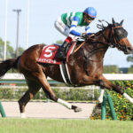 G1未勝利メイケイエール 引退式を中京競馬場で実施!