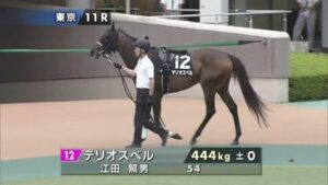 テリオスベルとか言う終始追い通しの馬