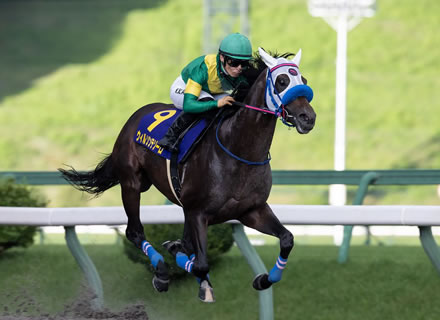 【フェブラリーS】ウィルソンテソーロ小手川調教師「競馬が近いことがわかっている」