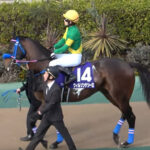 【フェブラリーS】ウィルソンテソーロ弱すぎワロタwwww