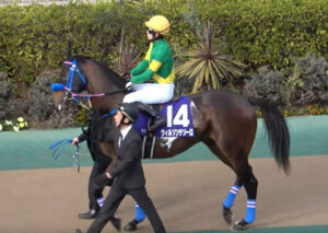 【フェブラリーS】ウィルソンテソーロ弱すぎワロタｗｗｗｗ