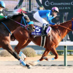 【競馬予想】第5回サウジカップ(GI) 日本時間2/25(日)AM2:40発走