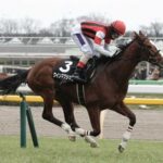 松岡正海がダービー狙えると大絶賛のウインマクシマムがゆりかもめ賞勝ち