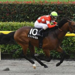 【競馬予想】[2]第41回フェブラリーステークス(GⅠ) /2024