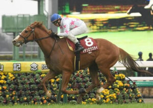 【中山記念】7番人気マテンロウスカイが先行抜け出しＶ！上位人気馬総崩れ