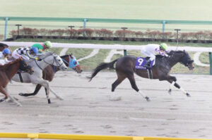 【フェブラリーS】大波乱！11番人気ペプチドナイルが直線で抜け出しG1初制覇！3連単は153万馬券