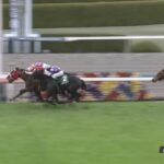 【阪急杯2024】結果・動画/ウインマーベルが接戦を制す