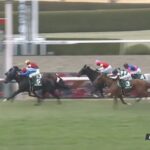 【京都牝馬ステークス2024】出走予定馬・騎手/今年から京都に戻る