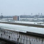 共同通信杯の週に雪多すぎ問題