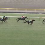 【競馬】共同通信杯は戸崎騎乗のジャスティンミラノがV