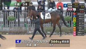 【日曜京都5R】パシフィックルート＆池添騎手がｷﾀ━━━━(ﾟ∀ﾟ)━━━━!!