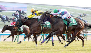 【京都牝馬S】ソーダズリング強すぎワロタw