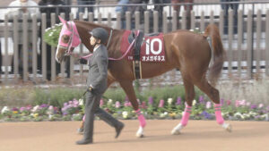 【フェブラリーS】オメガギネス大和田師 「タイトなローテが影響かも」ルメール「前走で疲れていたかも」