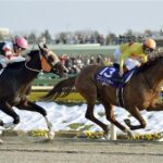 【フェブラリーS】16頭立て16番人気で勝利コパノリッキーから10年