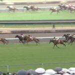 【中山記念2024】結果・動画/マテンロウスカイが抜け出し快勝