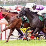 【阪急杯】ウインマーベルがハナ差制してV!重賞連勝