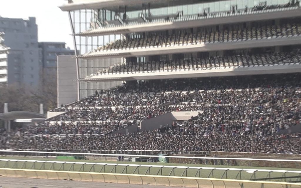 【競馬・フェブラリーS】ウィルソンテソーロ松山こーへいｗｗｗｗｗｗｗｗｗｗｗｗ