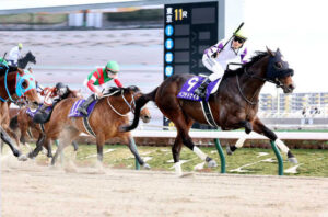 【JRA】11番人気でGIを勝った藤岡佑介。5番人気以下で勝ったことない武豊