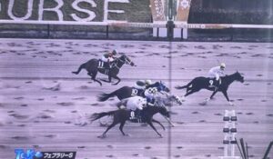 東京11RフェブラリーS天才騎手武豊騎手によるセキフウの騎乗をご覧ください