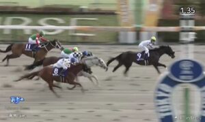 【競馬】フェブラリーSは藤岡佑騎乗の11番人気ペプチドナイルがV 13番人気の武豊騎乗セキフウが3着に