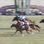 【きさらぎ賞2024】結果・動画/ビザンチンドリームが大接戦を制する
