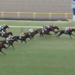 【競馬】東京新聞杯はキング騎乗のサクラトゥジュールがＶ