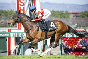 【競馬予想】第68回阪急杯(GⅢ) /2024