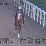 【弥生賞2024】追い切り/動きからレースを紐解く
