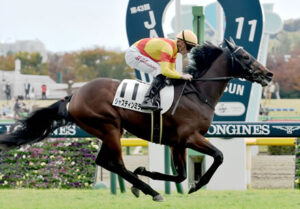 ジャスティンミラノ、キズナ産駒の怪物現る