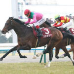 【京都記念】3番人気プラダリアが差し切ってV!重賞制覇3勝目