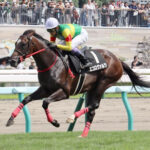 【競馬予想】[1]第58回共同通信杯(GIII) /2024