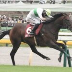 【中山記念】エルトンバローズとはなんだったのか