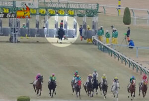 【伝説の初障害】コマンドラインさん出遅れ→放馬→逆走wwww