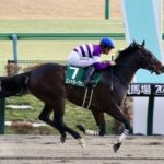 根岸S勝ち馬エンペラーワケアはフェブラリーS回避
