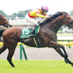 【競馬予想】第74回東京新聞杯(GⅢ) /2024