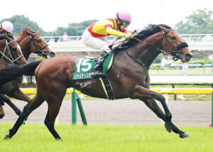 【競馬予想】第74回東京新聞杯(GⅢ) /2024