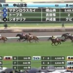 【悲報】4歳馬がガチで弱すぎる件