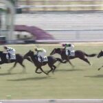 【競馬】京都5R 注目の新馬戦は川田騎乗のワールズエンドがV 2着に武豊騎乗のキタサンブラックの半弟シュガークン