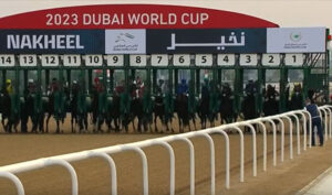 マジでダート主戦から顕彰馬出すにはどれだけの実績が必要なのよ？