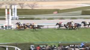 【土曜阪神5R】シュガークン＆武豊騎手がｷﾀ━━━━(ﾟ∀ﾟ)━━━━!!